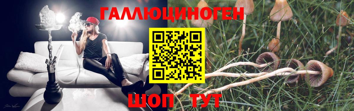 Галлюциногенные грибы прущие грибы Северобайкальск