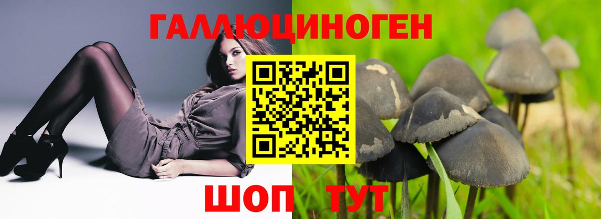 Северобайкальск  Галлюциногенные грибы мухоморы  Вход с VPN 